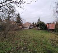 Na predaj vidiecky rodinný dom v obci Dolný Pial - Záhrada pri rodinnom dome v Dolnom Piali s trávnikom a ovocnými stromami.