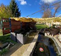 V exkluzívnom zastúpení majiteľa ponúkame na predaj rodinný dom - Záhrada rodinného domu na Hlavnej ulici v Zavare s vonkajším posedením a záhradným jazierkom.