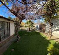 V exkluzívnom zastúpení majiteľa ponúkame na predaj rodinný dom - Záhrada pri rodinnom dome na Hlavnej ulici v Zavare s viničom a altánkom.