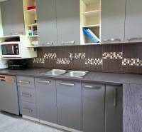 SLOVREAL - Predaj rodinného domu - Handlová - Kuchyňa v rodinnom dome s šedými skrinkami a spotrebičmi, podlaha s dlažbou.