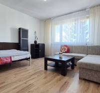 PRIESTRANNÝ 1-IZBOVÝ BYT, 38 M², BANSKÁ BYSTRICA - SITNIANSKA - Obývacia časť 1-izbového bytu s pohovkou, stolíkom a podlahou s dreveným dekorom.