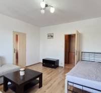 PRIESTRANNÝ 1-IZBOVÝ BYT, 38 M², BANSKÁ BYSTRICA - SITNIANSKA - Obývacia izba v 1-izbovom byte; pohovka, posteľ, kávový stolík, podlaha s dreveným dekorom.