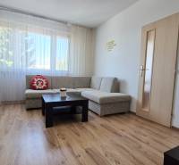 PRIESTRANNÝ 1-IZBOVÝ BYT, 38 M², BANSKÁ BYSTRICA - SITNIANSKA - Obývacia izba v 1-izbovom byte s pohovkou a podlahou s dreveným dekorom.