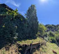 ZÁHRADA S UNIMOBUNKOU A VÝHĽADOM NA ZVOLEN , 465M2, ZVOLEN – HÁJIK - Záhrady na Hájiku vo Zvolene, vidno chatku obklopenú vegetáciou a slnečné počasie.