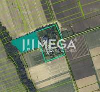 Investičný pozemok Vranov nad Topľou - Katastrálna mapa v okolí Vranova nad Topľou zobrazuje zvláštne nehnuteľnosti obopnuté políčkami.