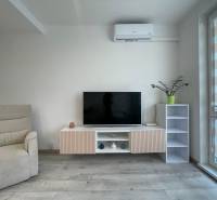 PRENÁJOM, garsónka na Jegorovovom námestí, Košice-Dargovských hrdinov - Obývací priestor garsónky so sedačkou, televízorom a podlahou s dreveným dekorom.