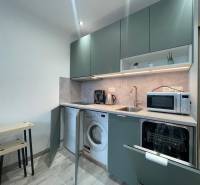 PRENÁJOM, garsónka na Jegorovovom námestí, Košice-Dargovských hrdinov - Kuchynský kút v garsónke s práčkou, mikrovlnkou a umývačkou, podlaha s dreveným dekorom.