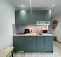 PRENÁJOM, garsónka na Jegorovovom námestí, Košice-Dargovských hrdinov - Kompaktná kuchyňa s mikrovlnkou a zelenými skrinkami v garsónke s podlahou s dreveným dekorom.