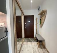 PRENÁJOM, garsónka na Jegorovovom námestí, Košice-Dargovských hrdinov - V garsónke je predsieň so zrkadlovou skriňou, vešiakom a lavicou.