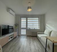 PRENÁJOM, garsónka na Jegorovovom námestí, Košice-Dargovských hrdinov - Garsónka so svetlým nábytkom, bielou sedačkou a podlahou s dreveným dekorom.