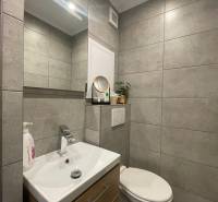 PRENÁJOM, garsónka na Jegorovovom námestí, Košice-Dargovských hrdinov - Kúpeľňa v garsónke s umývadlom, zrkadlom a toaletou, obklopená šedými dlaždicami.