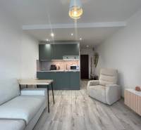 PRENÁJOM, garsónka na Jegorovovom námestí, Košice-Dargovských hrdinov - Garsónka s kuchynským kútom, sedačkou a kreslom, podlaha s dreveným dekorom.