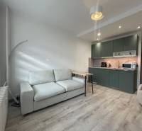 PRENÁJOM, garsónka na Jegorovovom námestí, Košice-Dargovských hrdinov - Garsónka s kuchyňou, pohovkou a podlahou s dreveným dekorom, osvetlená denným svetlom.