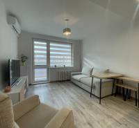 PRENÁJOM, garsónka na Jegorovovom námestí, Košice-Dargovských hrdinov - Obývacia časť garsónky s pohodlnou pohovkou a podlahou s dreveným dekorom.