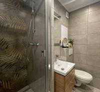 PRENÁJOM, garsónka na Jegorovovom námestí, Košice-Dargovských hrdinov - Kúpeľňa v garsónke s dlažbou, sprchovým kútom a umývadlom s úložným priestorom.