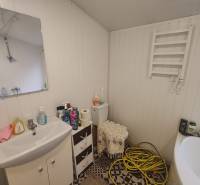 Pohoda pri vode, chata s výhľadom na Domašu - Kúpeľňa v Chate s umývadlom, zrkadlom, toaletou a čistiacimi prostriedkami.