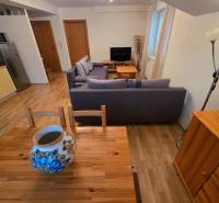 Apartmán, Nová Lesná, 46m2 + balkón, park. miesto, zariadený  - Obývacia izba v Rekreačnom apartmáne s podlahou s dreveným dekorom, pohovkou a dekoračnou vázou.