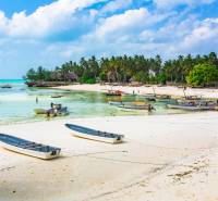 3,2-hektárový pozemok na útese, Kizimkazi, Zanzibar - Pláž s loďami a palmami v Kizimkazi, ideálne pre komerčné pozemky.