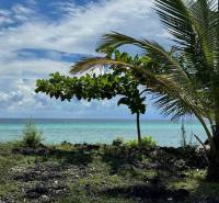 3,2-hektárový pozemok na útese, Kizimkazi, Zanzibar - Pobrežie v Kizimkazi vhodné pre pozemky - komerčné s výhľadom na oceán a palmami.