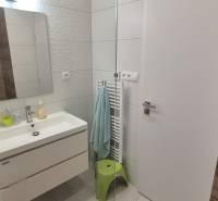 Na predaj 4 izbový RD v obci  Studienka, garáž, sauna, pozemok 719 m2 - Kúpeľňa v rodinnom dome s umývadlom, reliéfne dlaždice, zrkadlo a osvetlené steny.