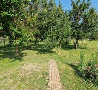 Krásny rodinný dom s rozľahlým pozemkom - Záhrada v rodinnom dome v Dlhej nad Váhom s ovocnými stromami a trávnikom.