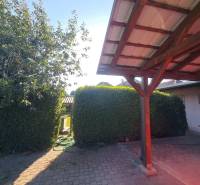 Domov, kde si vytvoríte vlastný príbeh – rodinný dom na predaj, Neded - Dvor rodinného domu v Nededi, s pergolou a husto osadenými kríkmi.