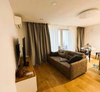 5 - izbový rodinný dom - 168 m², na pozemku 223 m², Ivanka pri Dunaji - Obývacia izba v rodinnom dome s podlahou s dreveným dekorom, sivou sedačkou a závesmi.