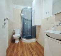 Exkluzívne na predaj 5 izbový rodinný dom - Kúpeľňa v rodinnom dome s toaletou, sprchovým kútom a podlahou s dreveným dekorom.