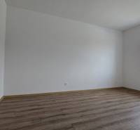 Moderný nízkoenergetický 4-izbový rodinný dom, Cífer – Karlov Dvor - Izba v rodinnom dome s podlahou s dreveným dekorom a veľkým oknom.