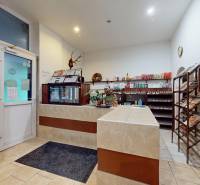 PETRŽALKA -Obchodný priestor v blízkosti električkovej trate na predaj - Interiér obchodných priestorov s pultom, regálmi a rastlinami na dlažbe.