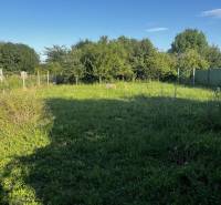 Znížená cena  4-izbový rodinný dom s veľkým pozemkom len 5min od Šale - Záhrada pri rodinnom dome v Diakovciach s bujnou trávou a zelenými kríkmi.