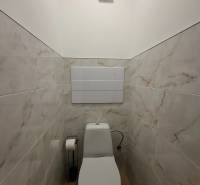 Zrekonštruovaná   garsónka s balkónom na Spartakovskej ulici v Trnave - Toaleta v garsónke s podlahou s dreveným dekorom a obkladom imitujúcim mramor.