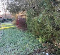 Prízemný rodinný dom v Tomášovciach  - Záhrada rodinného domu v Tomášovciach s hustou vegetáciou a trávnatou plochou.