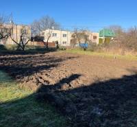 Prízemný rodinný dom v Tomášovciach  - Oraná záhrada v Tomášovciach pri rodinných domoch na jasnom dni.