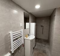 NA PRENÁJOM krásny 1 izbový apartmán so záhradou v srdci Komárna - Kúpeľňa v 1-izbovom byte s obkladmi vo svetlých odtieňoch a sprchovým kútom.