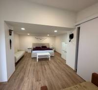 NA PRENÁJOM krásny 1 izbový apartmán so záhradou v srdci Komárna - 1-izbový byt s posteľou, pohovkou a podlahou s dreveným dekorom.