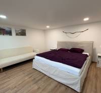 NA PRENÁJOM krásny 1 izbový apartmán so záhradou v srdci Komárna - Spálňa v 1-izbovom byte s pohovkou, posteľou a podlahou s dreveným dekorom.