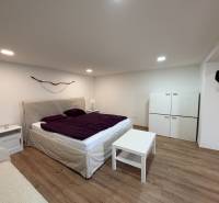 NA PRENÁJOM krásny 1 izbový apartmán so záhradou v srdci Komárna - Spálňa v 1-izbovom byte s podlahou s dreveným dekorom a posteľou s fialovým prehozom.