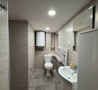 NA PRENÁJOM krásny 1 izbový apartmán so záhradou v srdci Komárna - Kúpeľňa v 1-izbovom byte so sprchovým kútom, umývadlom a WC, dlaždice na stenách.