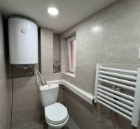 NA PRENÁJOM krásny 1 izbový apartmán so záhradou v srdci Komárna - Kúpeľňa v 1-izbovom byte so sanitou, bojlerom a bielym rebríkovým radiátorom.