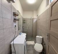 EXKLUZÍVNE na prenájom apartmán s nádychom afrického štýlu v centre KN - Kúpeľňa v 1-izbovom byte s práčkou, umývadlom a sprchovým kútom v neutrálnych odtieňoch.