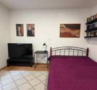 EXKLUZÍVNE na prenájom apartmán s nádychom afrického štýlu v centre KN - Spálňa v 1-izbovom byte s televízorom a obrazmi na strohých stenách.