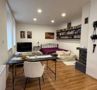 EXKLUZÍVNE na prenájom apartmán s nádychom afrického štýlu v centre KN - Interiér 1-izbového bytu s podlahou s dreveným dekorom, posteľou a jedálenským stolom.