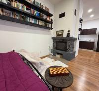 EXKLUZÍVNE na prenájom apartmán s nádychom afrického štýlu v centre KN - Krb, knižnica a kuchyňa v 1-izbovom byte s podlahou s dreveným dekorom.