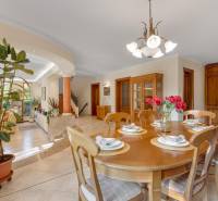 Predaj luxusná 5 izbová Vila,440 m2,pozemok 1061m2,garáž,bazén,BA II. - Jedáleň vo vile so stolom, rastlinou a schodiskom na ulici Hrušovská.