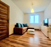 EXKLUZÍVNE- 2 Izbový byt v obci Motešice + parkovacie miesto  - Obývacia izba v 2-izbovom byte s pohovkou a podlahou s dreveným dekorom.