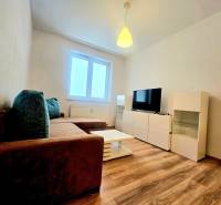 EXKLUZÍVNE- 2 Izbový byt v obci Motešice + parkovacie miesto  - Obývacia izba 2-izbového bytu s pohovkou, televízorom a podlahou s dreveným dekorom.