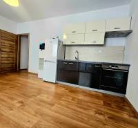 EXKLUZÍVNE- 2 Izbový byt v obci Motešice + parkovacie miesto  - Kuchyňa v 2-izbovom byte s podlahou s dreveným dekorom a zariadením.