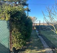 PREDAJ : ZÁHRADA S MUROVANOU CHATKOU, KOMÁRNO - Záhrady v Novej osade Komárna, plot so zelenými ihličnanmi a kamenná cestička.