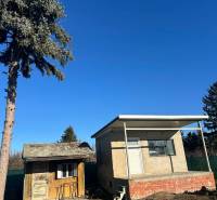 PREDAJ : ZÁHRADA S MUROVANOU CHATKOU, KOMÁRNO - Záhrady v Novej osade v Komárne s malými stavbami a ihličnatým stromom.